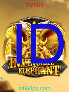 InvincibleElephant