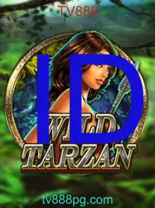 WildTarzan